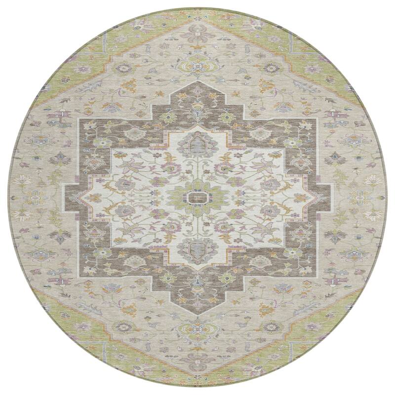 Machine Washable Indoor/ Outdoor Traditional Kolkata Chantille Rug