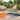 World Rug Gallery Tropical Floral Indoor/Outdoor Area Rug