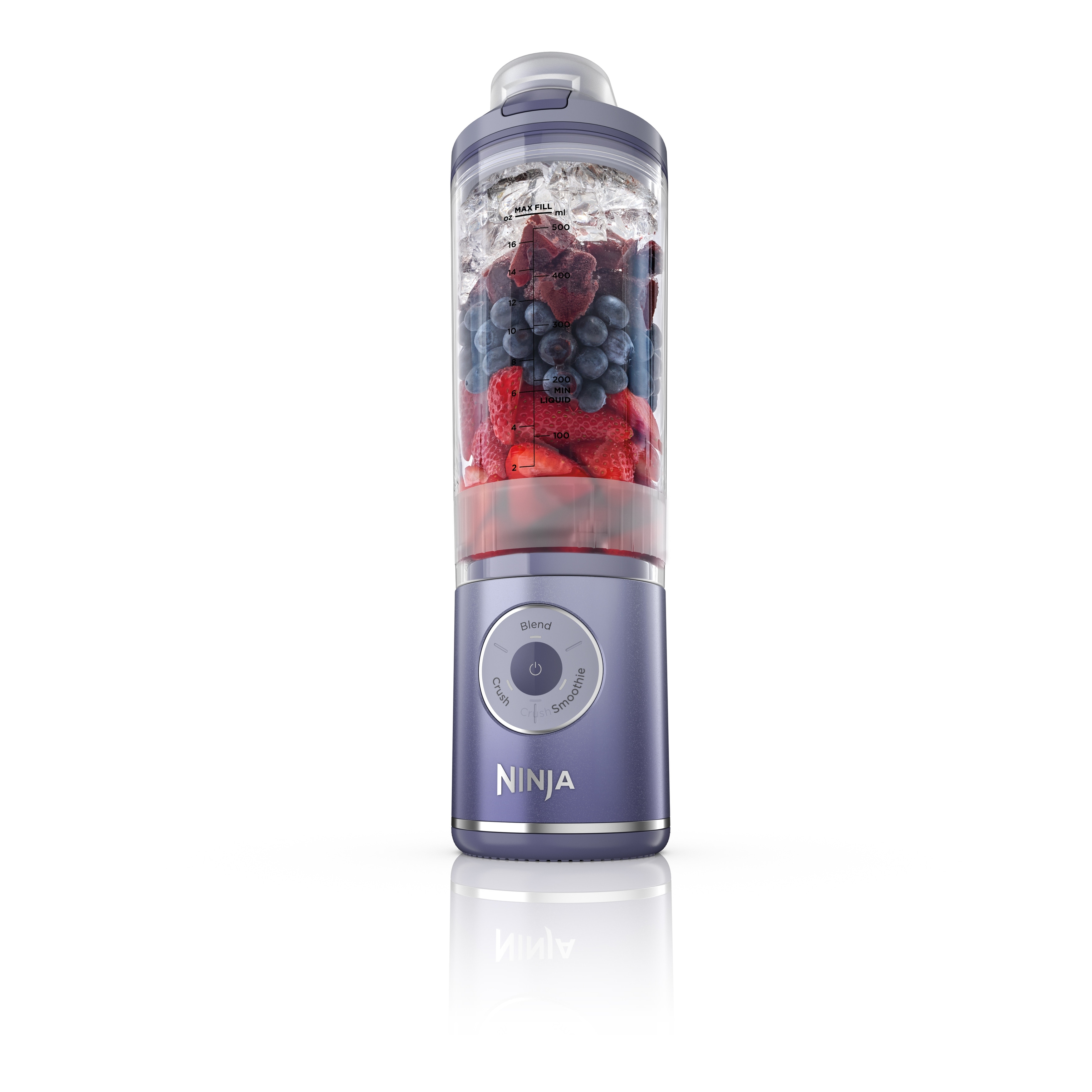 Ninja Blast Max Portable Blender