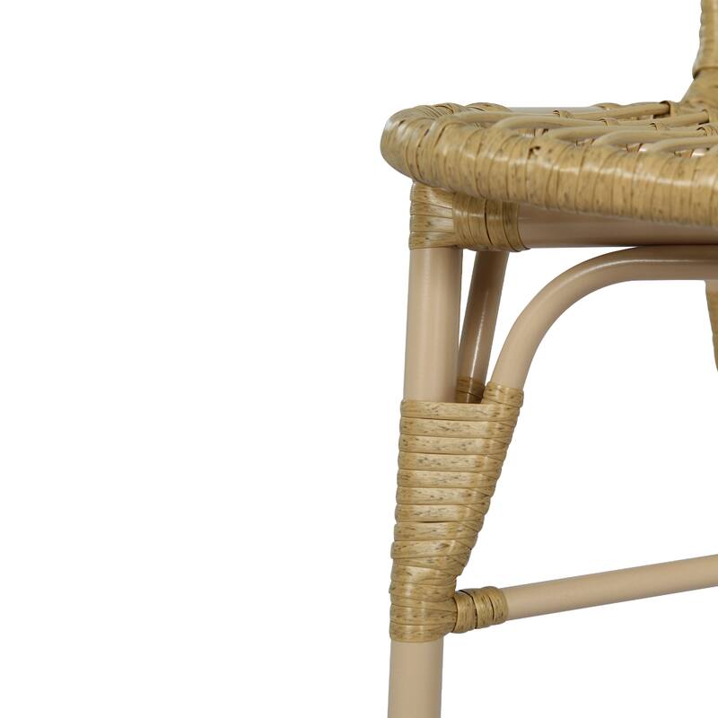 Christopher Knight Home - Modern Outdoor PE Wicker Dining Chairs, Set of 2