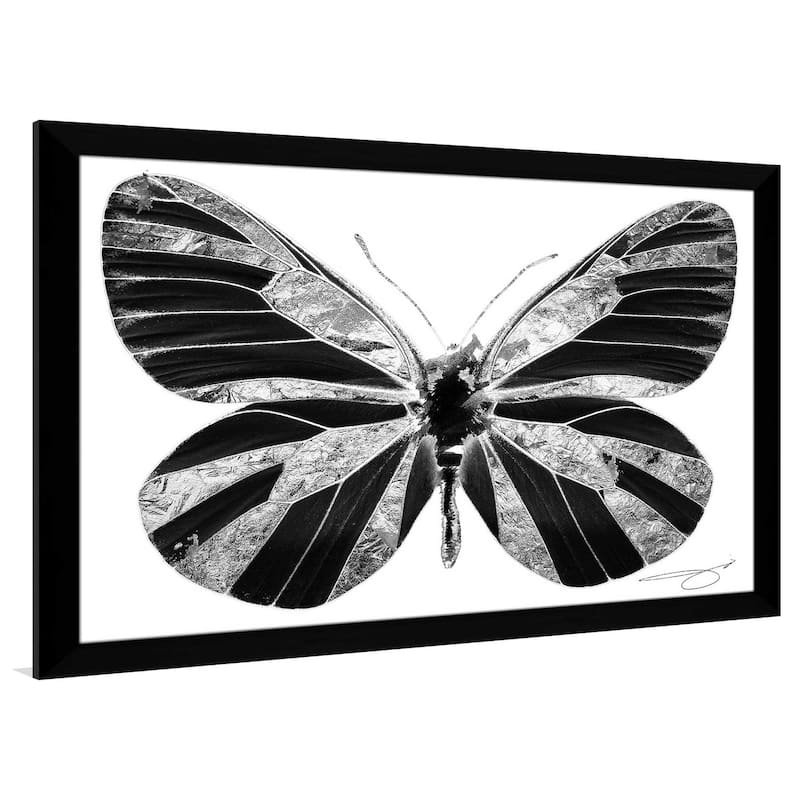 "Silver Butterfly" by Jodi Print on Acrylic