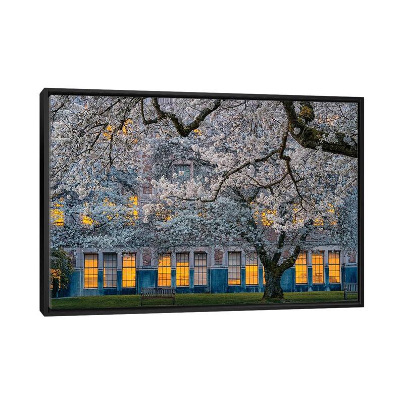 iCanvas "Morning At University Of Washington" by Lydia Jacobs Framed Canvas Print - Black - 26x40