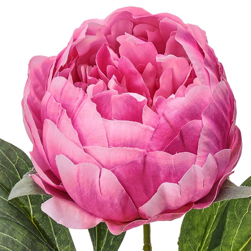 21" Lovely Peony Stem Set of 3