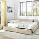Option Beige