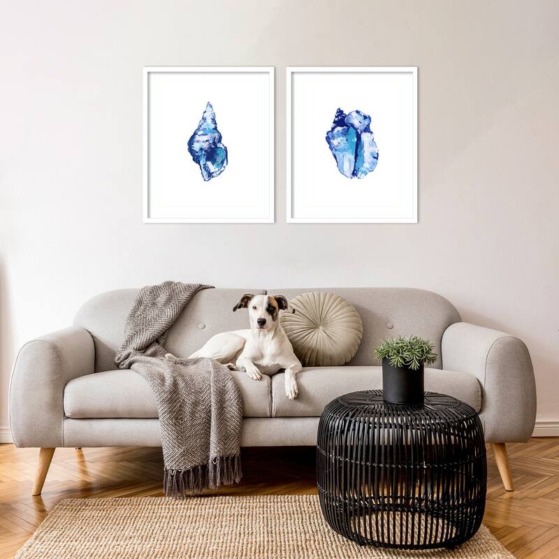 Blue Shell On White Background No. 1 & 2 2 Piece by Cartissi Framed Wall Art Prints