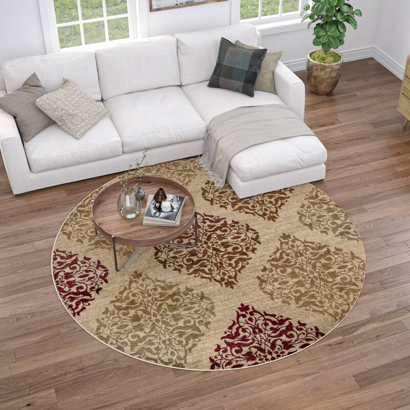 Infinity Transitional Oriental Indoor Area Rug