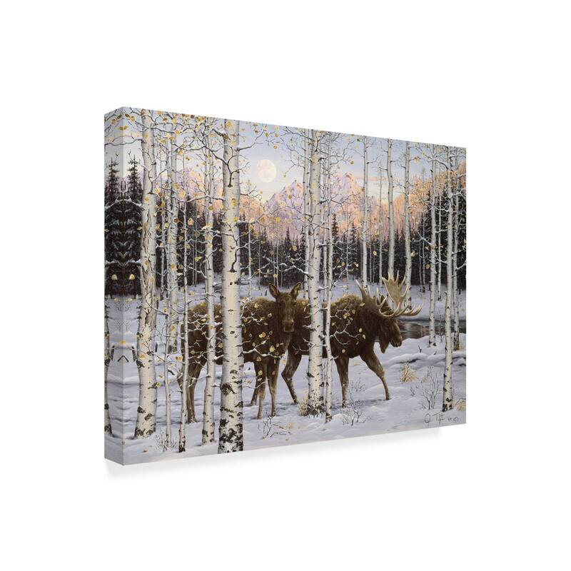 Jeff Tift 'Forest Twilight' Canvas Art