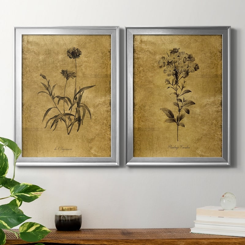 Gold Sketch Botanical I Premium Framed Print - Ready to Hang - Multi-Color