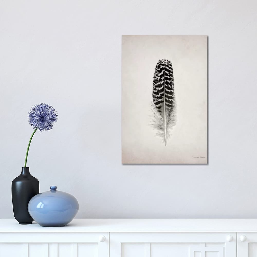 iCanvas "Feather I" by Debra Van Swearingen Canvas Print