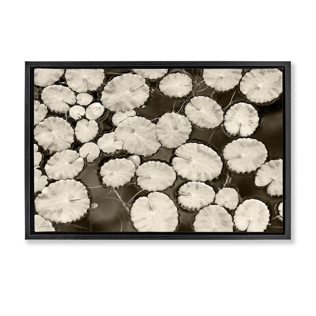 Stupell White Floating Lily Pads Framed Floater Canvas Wall Art Design By Lori Deiter