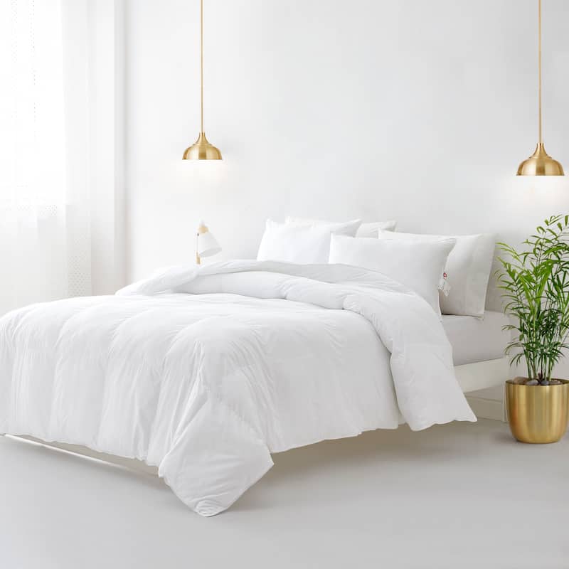 All Season PrimaLoft® ThermoPlume Down Alternative Oversized Comforter with Duvet Tabs by Dream Naturally