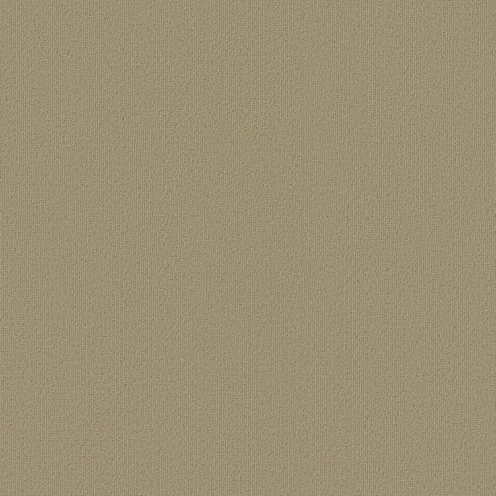 Shaw Philadelphia Commercial Color Accents TL 24" x 24" Glue Down