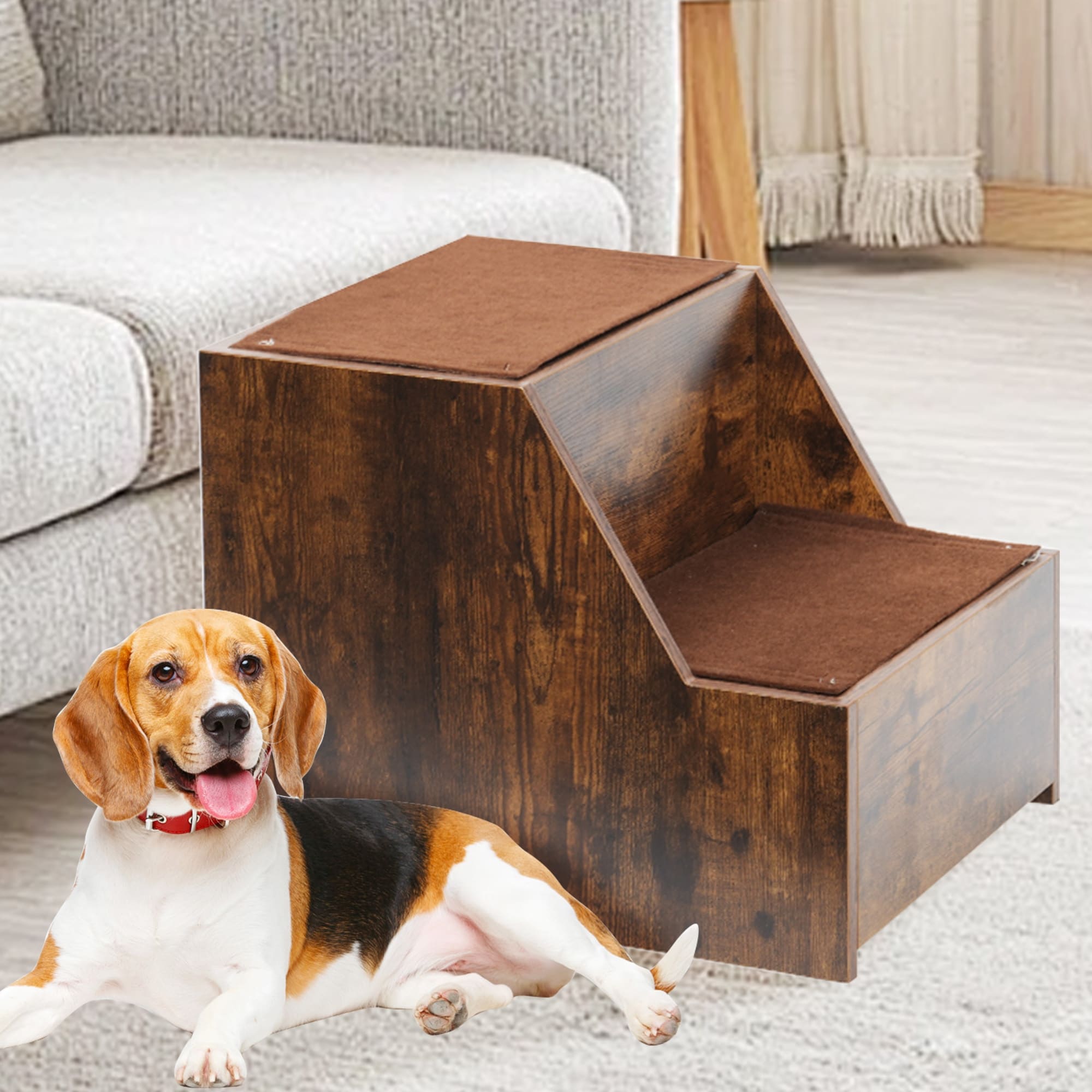 Doggie bunk beds store