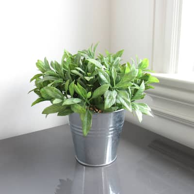 Artificial Sage Basil Herb Plant in Metal Pot 8in - 8" H x 8" W x 8" DP