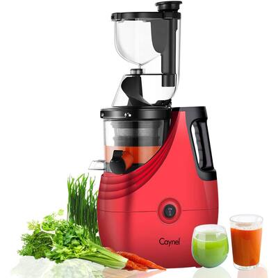 Caynel Vertical Compact Cold Press Slow Masticating Juicer