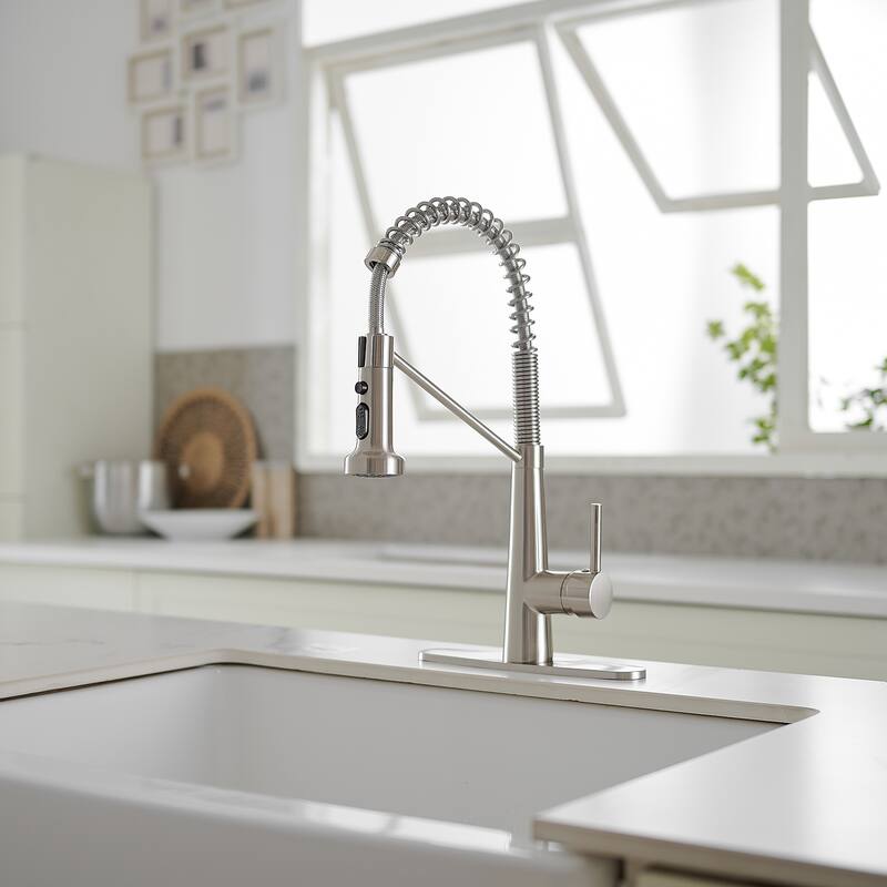 WIZ Single-Handle Pull-Down Sprayer 2 Spray High Arc Kitchen Faucet