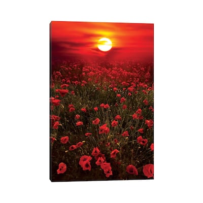 iCanvas "Warm Sunset" by Marco Carmassi Canvas Print