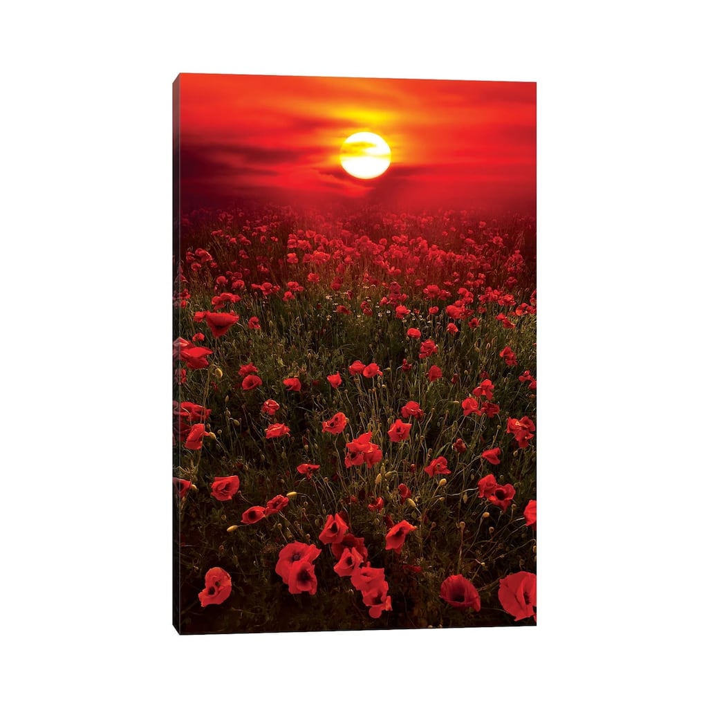 iCanvas "Warm Sunset" by Marco Carmassi Canvas Print