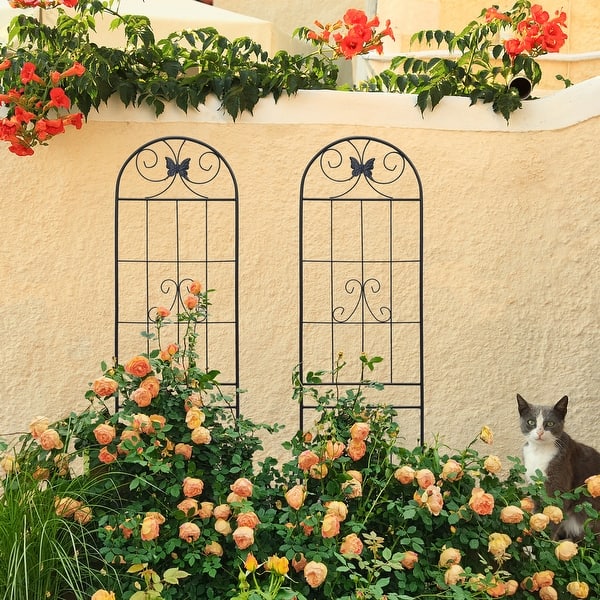 2 Pack Metal Garden Trellis,Climbing Plants Support Outdoor - Bed Bath &  Beyond - 42765432