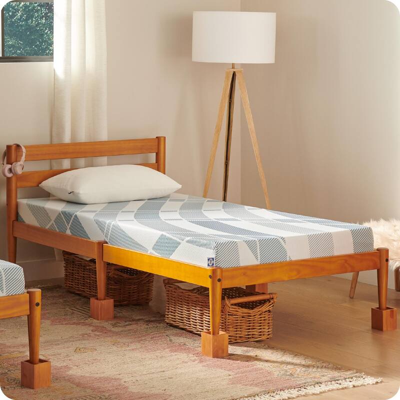 Sealy Dreamlife 6" Foam Mattress-in-a-Box