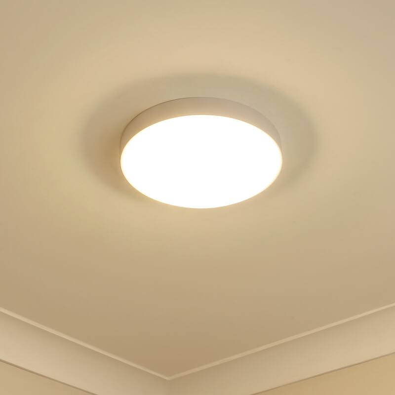 Gabi 10" Wide LED Flush Mount with Opal Glass