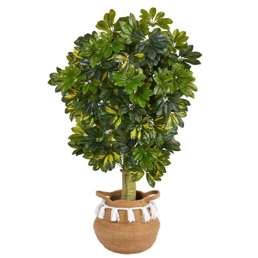Artificial Vintage Fig Tree in Planter - 42" Indoor Greenery Decor - Home Office Living Room Accent - Green - 48