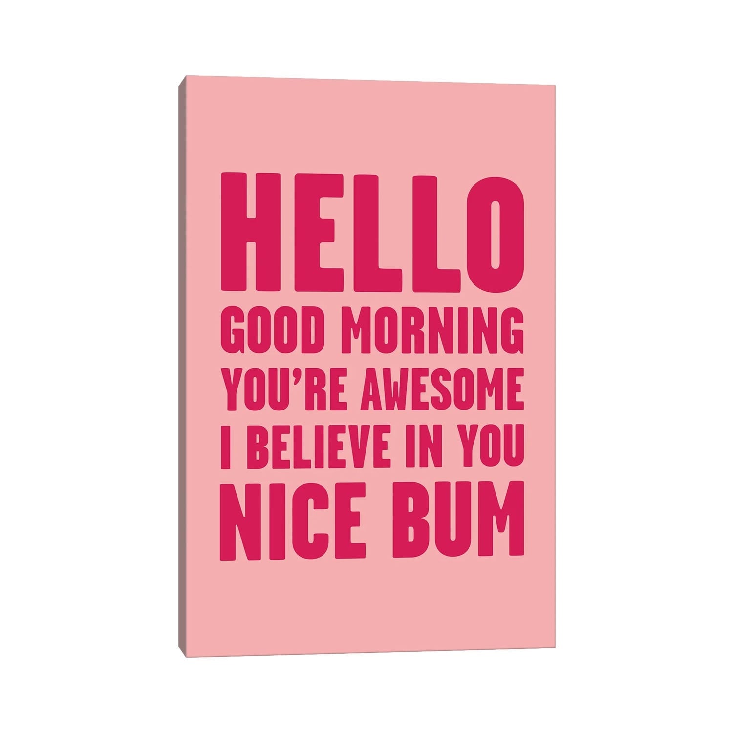 iCanvas "Hello You're Awesome Nice Bum Pink" by Mambo Art Studio Canvas Print