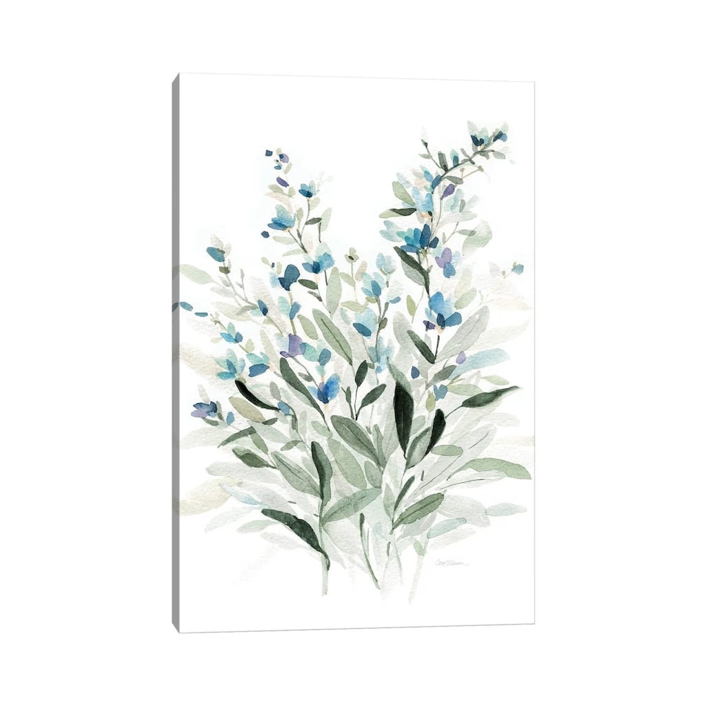 iCanvas "Delicate Blue Botanical I" by Carol Robinson Canvas Print