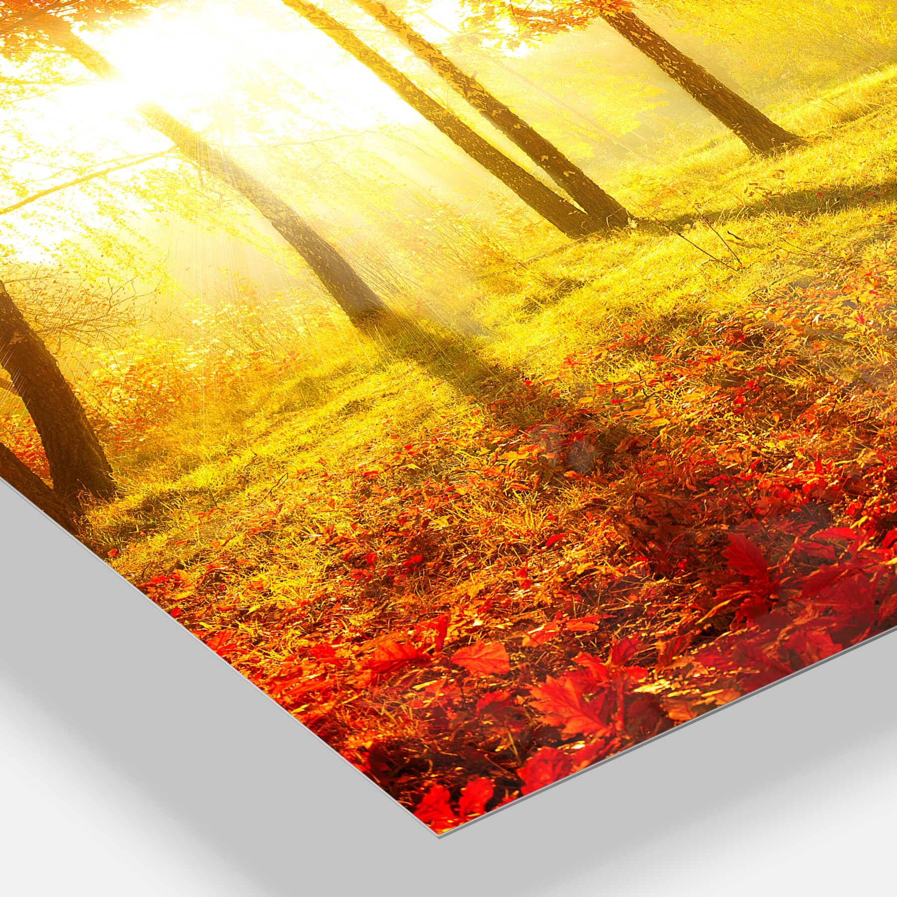 Designart 'Autumnal Park' Landscape Photography Metal Wall Small - Picture 10 of 15