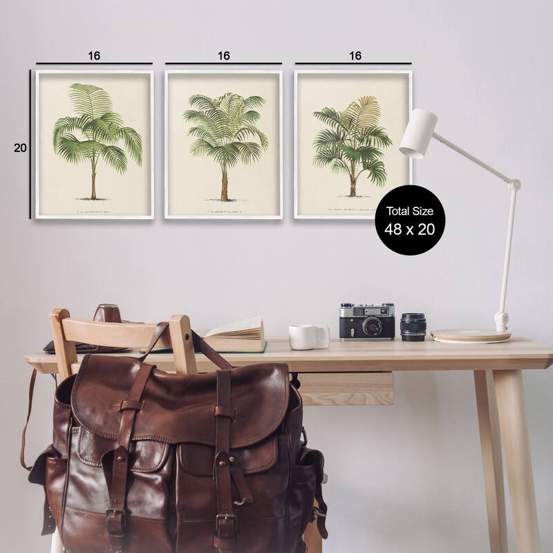 Stupell Les Palmiers Botanical Trio Framed Giclee Art Design by World Art Group (Set of 3)