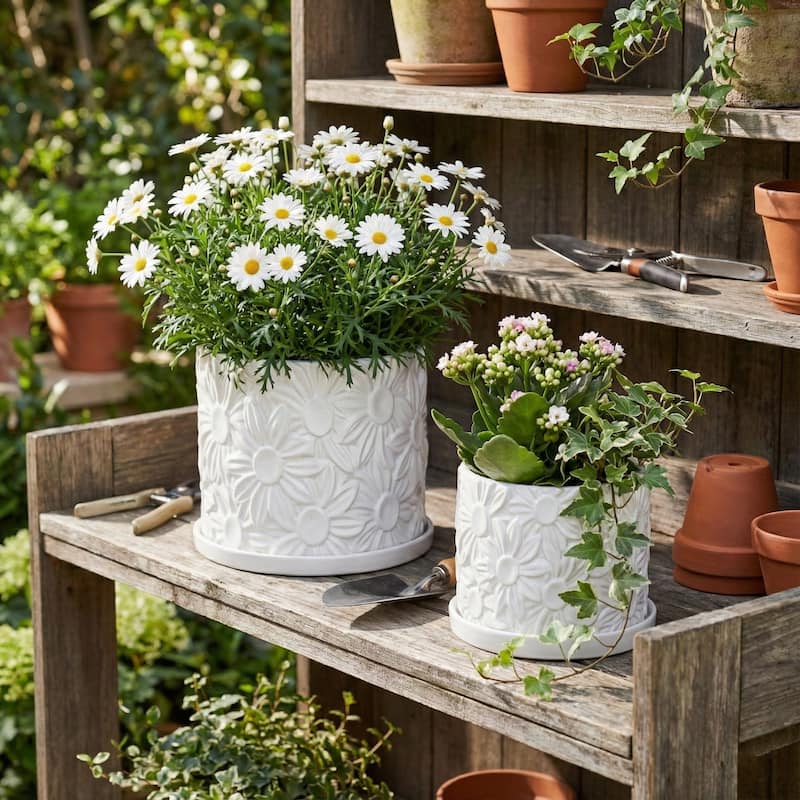 Decorative Ceramic Daisy Flower Planters - Set of 2