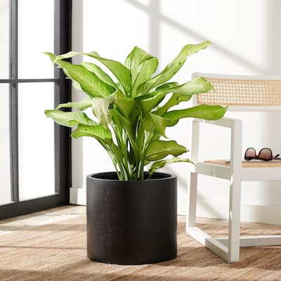 SAFAVIEH Outdoor Braslen Black Planter - 14.5" W x 14.5" L x 12.9" H