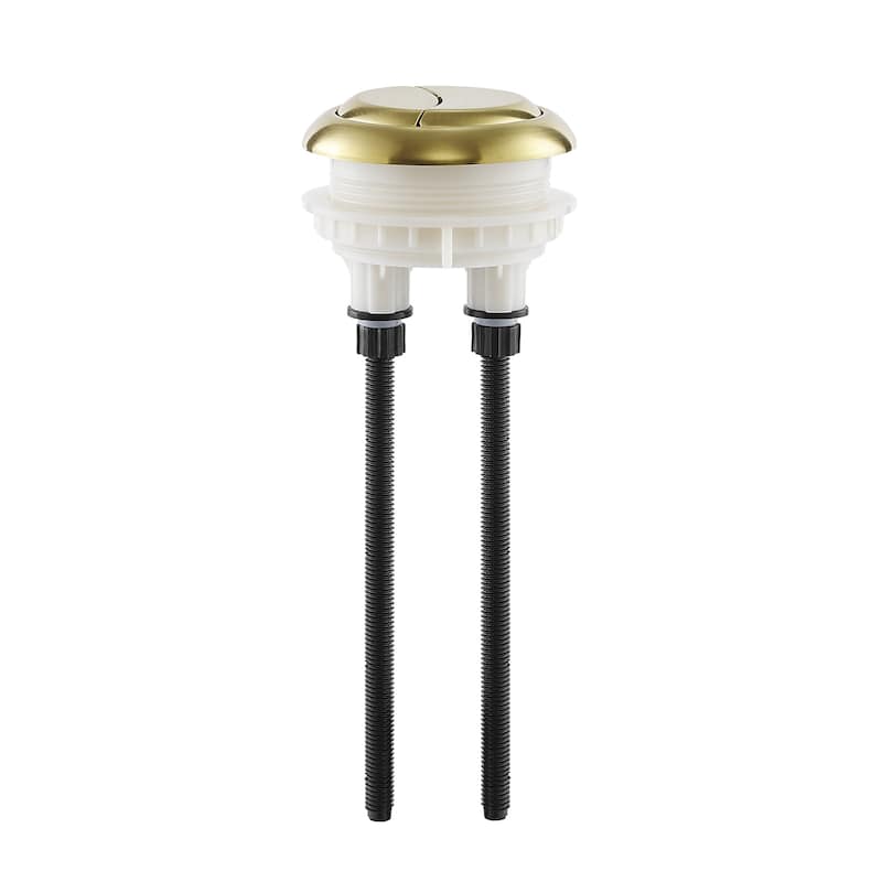Toilet Hardware Brushed Gold