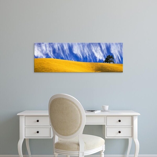 Easy Art Prints Panoramic Image 'Cirrus clouds over hillside, Templeton, San Luis Obispo County, California' Canvas Art