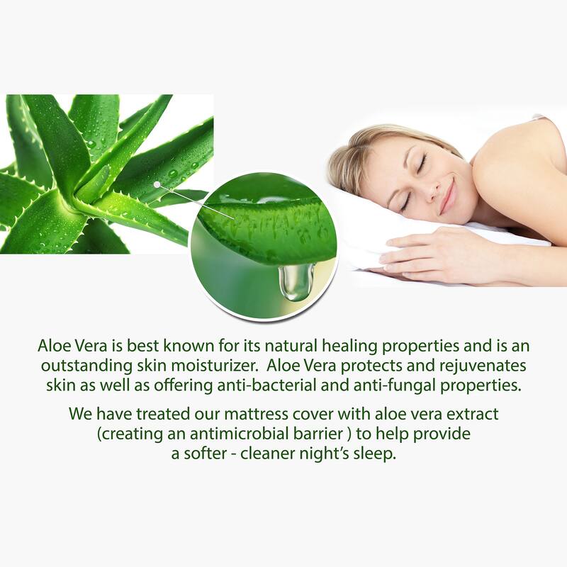 6 in. Aloe Vera Infused Contouring Memory Foam Mattress