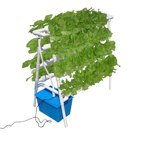 Shop Plant Sites Hydroponic Site Grow Kit Hydroponic Soilless