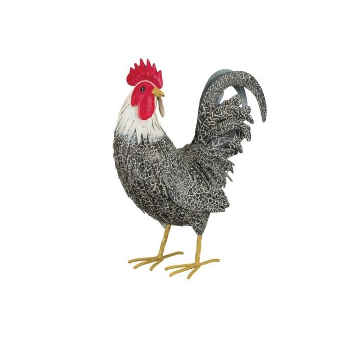 Murray Rooster Decor - Preening