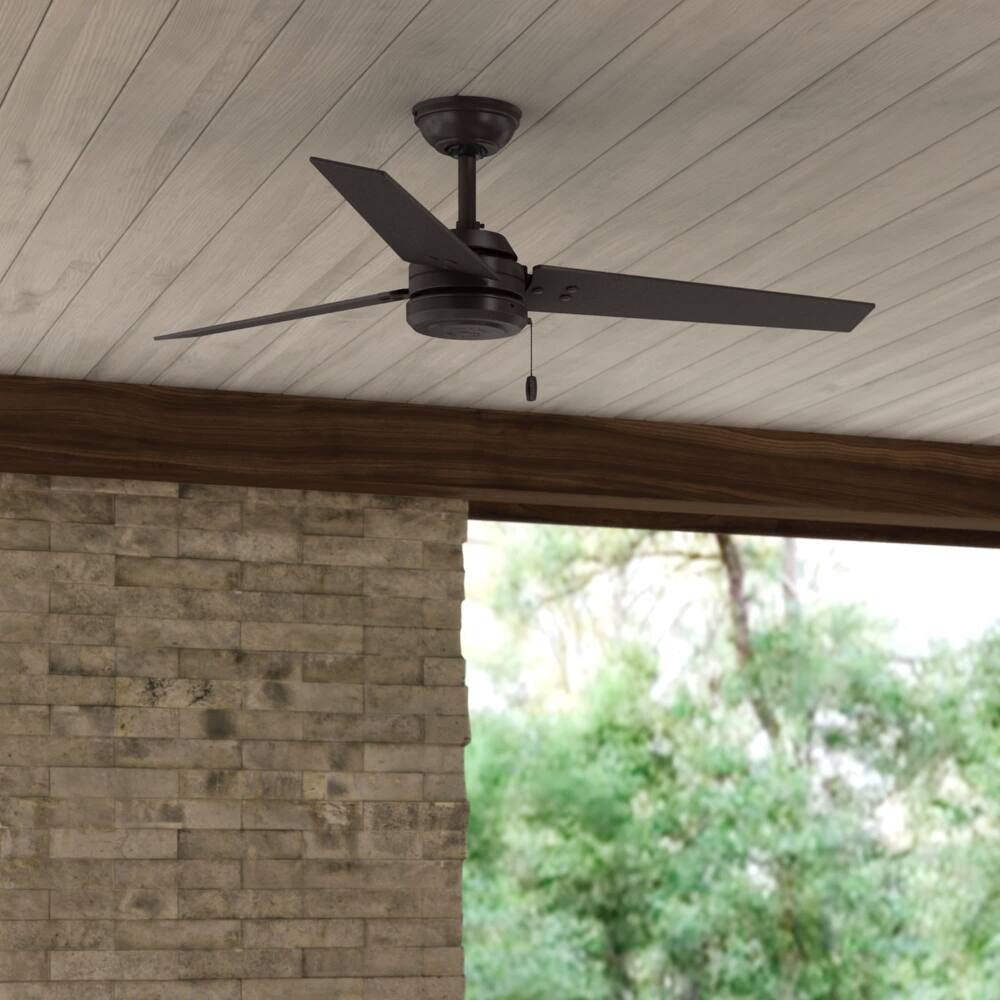 Hunter 52" Cassius Outdoor Ceiling Fan with Pull Chain, Damp Rated - Industrial, Contemporary, Farmhouse