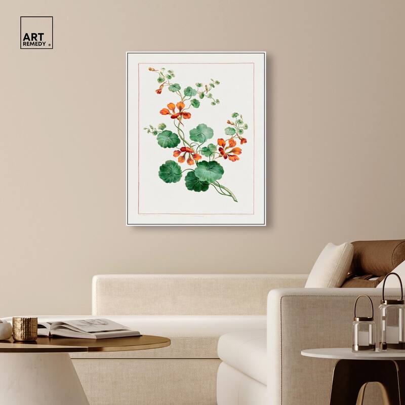 Nasturtium (1788) Canvas by Art Remedy