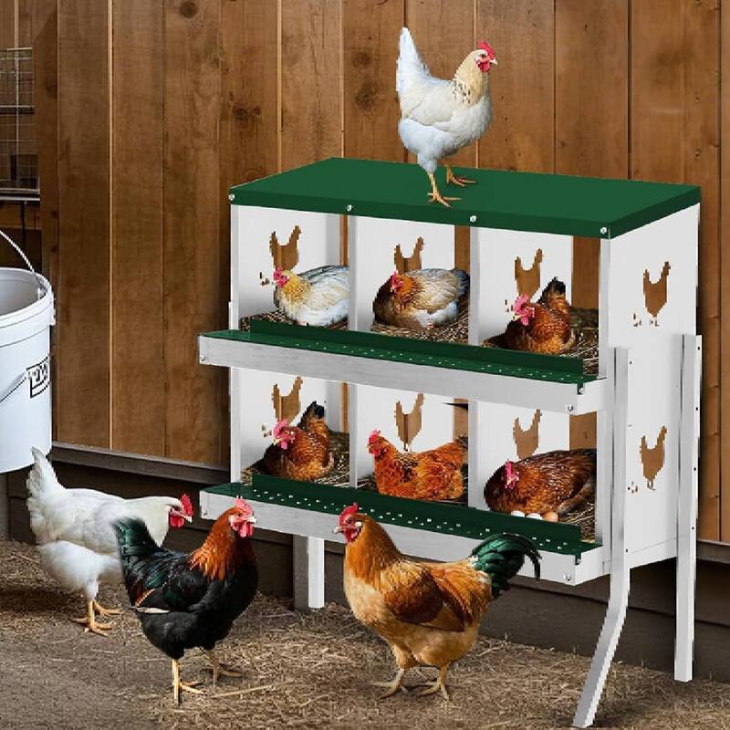 Chicken Nesting Boxes with Roll Out Egg Collection and Legs