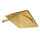 Option Brushed Brass