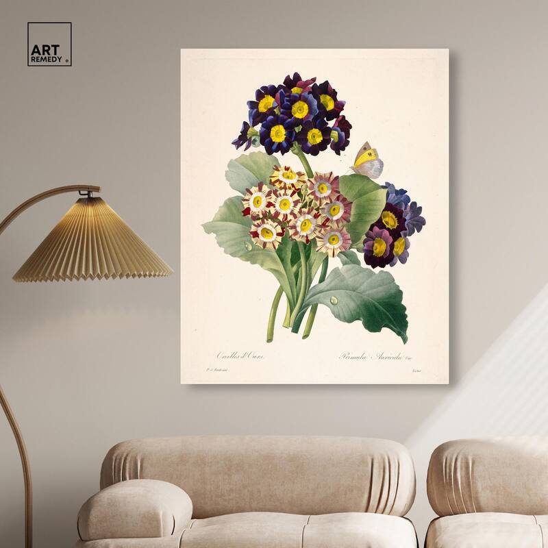 Auricula Varieties Canvas by Art Remedy, Gallery Wrapped