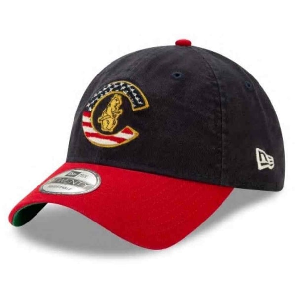 cubs july 4th hat