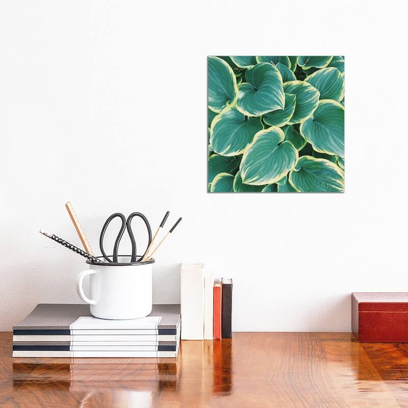 iCanvas "Some Like It Hosta" by Chelsea Victoria Canvas Print - 12x12x0.75