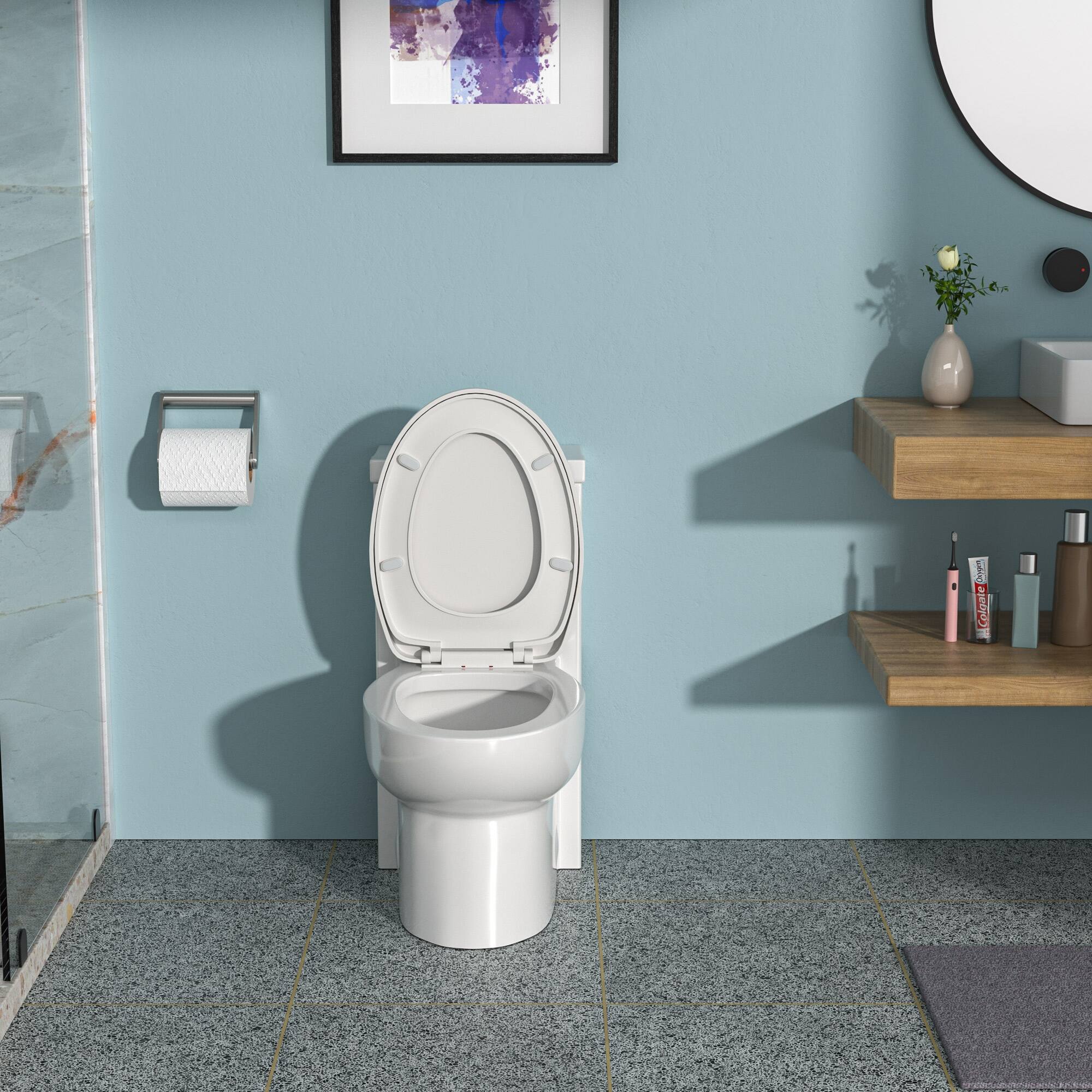 Dual Flush White Ceramic Bathroom Toilet with Soft Clsoing Seat Bed