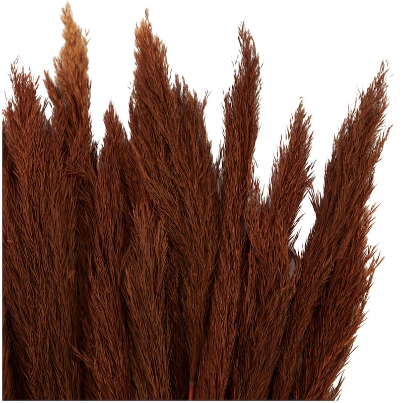 Copper Dried Plant Pampas Home Decor Natural Foliage with Long Stems