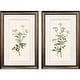 preview thumbnail 1 of 3, Paragon Botanical Whites Framed Art - Set of 2 Plastic