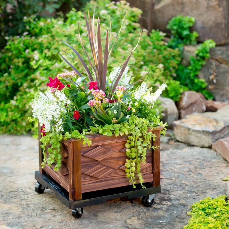 16" Black Square Plant Dolly