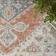 preview thumbnail 6 of 11, Nourison Astra Machine Washable Distressed Area Rug