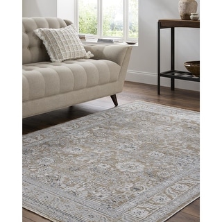 Livabliss Edmonton Traditional Abstract Area Rug